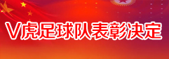 关于表彰“江钨V虎”足球队的决定